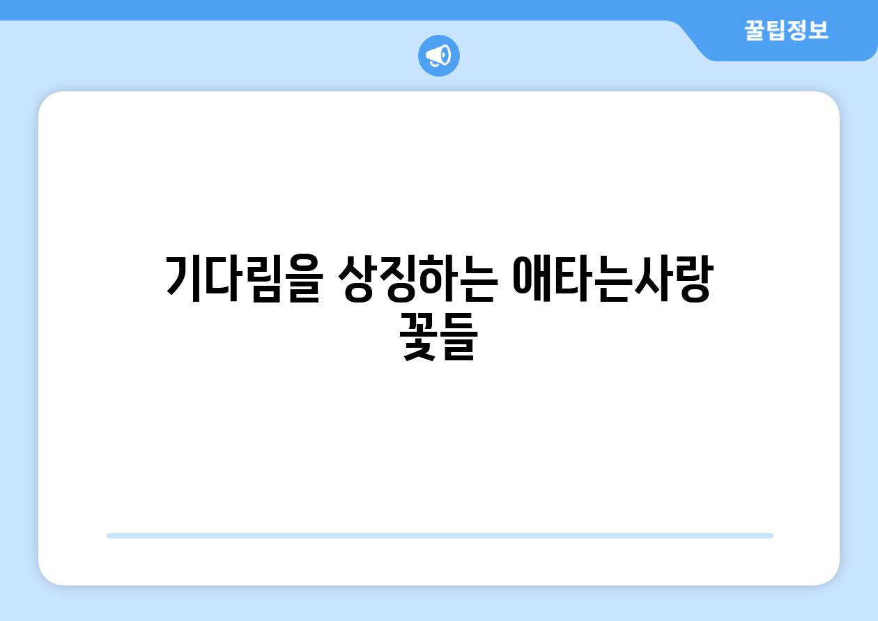 기다림을 상징하는 애타는사랑 꽃들