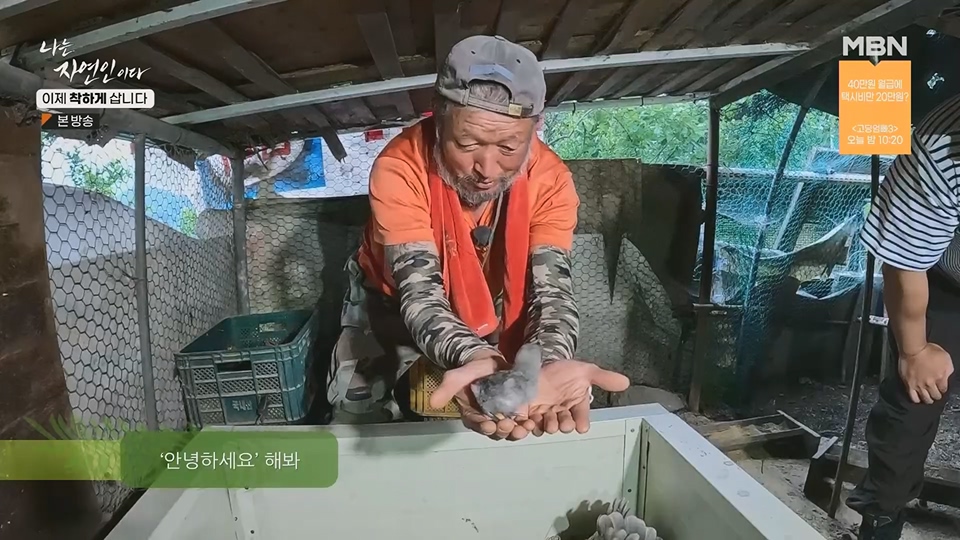 나는 자연인이다.E560.230628p.H264-F1RST.mp4_20230701_182702.312.jpg
