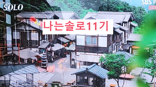 나는솔로11기 다시보기