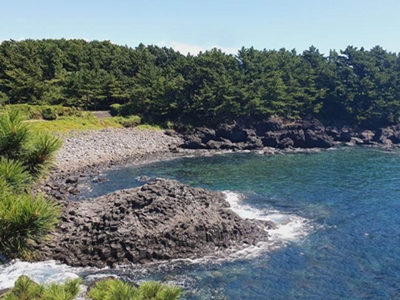 제주-대포-주상절리대-주차장-입장료-관람소요시간-제주-가볼만한곳-근처-맛집-추천