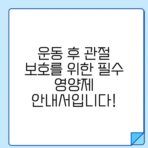 운동 후 관절 보호를 위한 필수 영양제 안내서입니다!