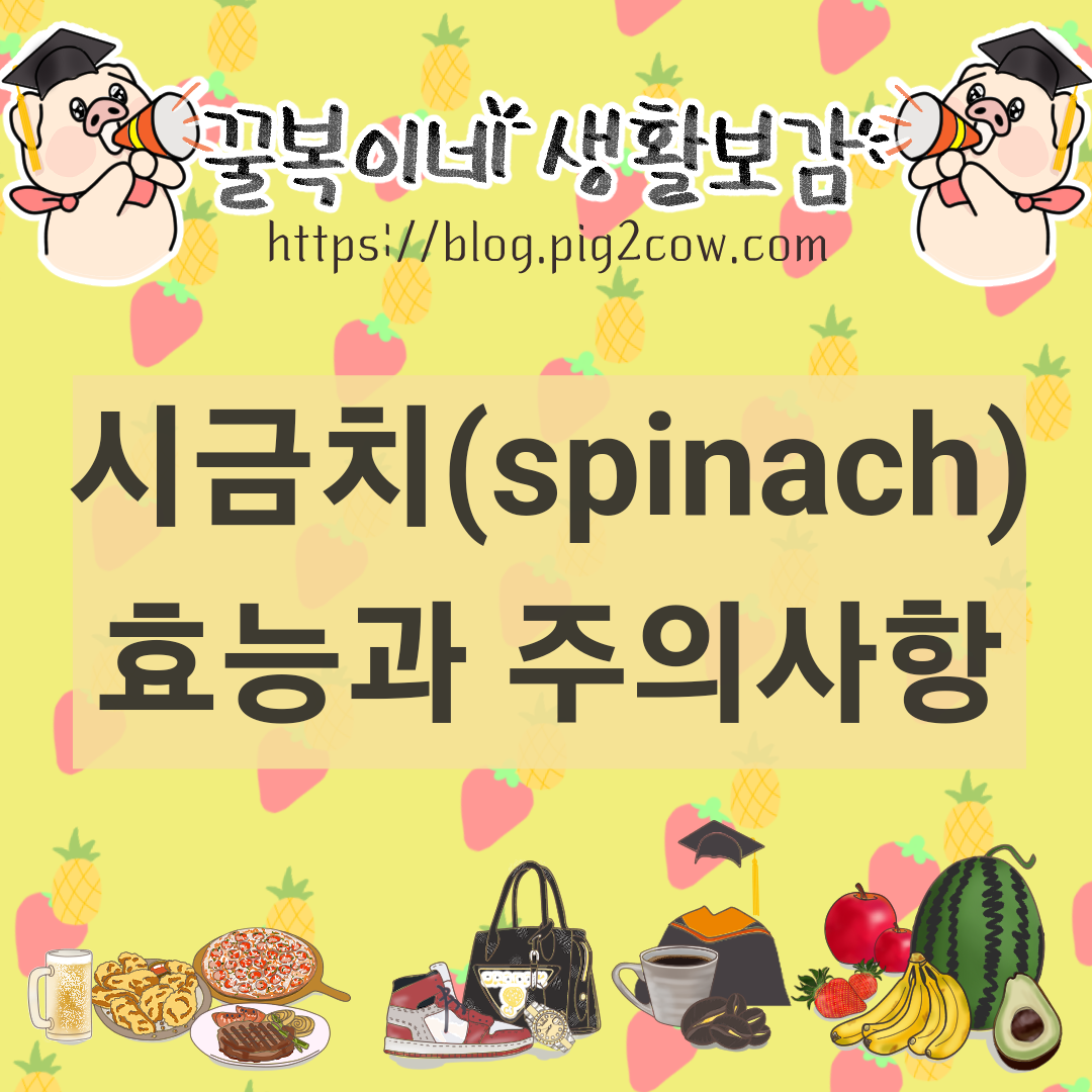  채소의 왕! 시금치 효능과 주의사항(spinach)