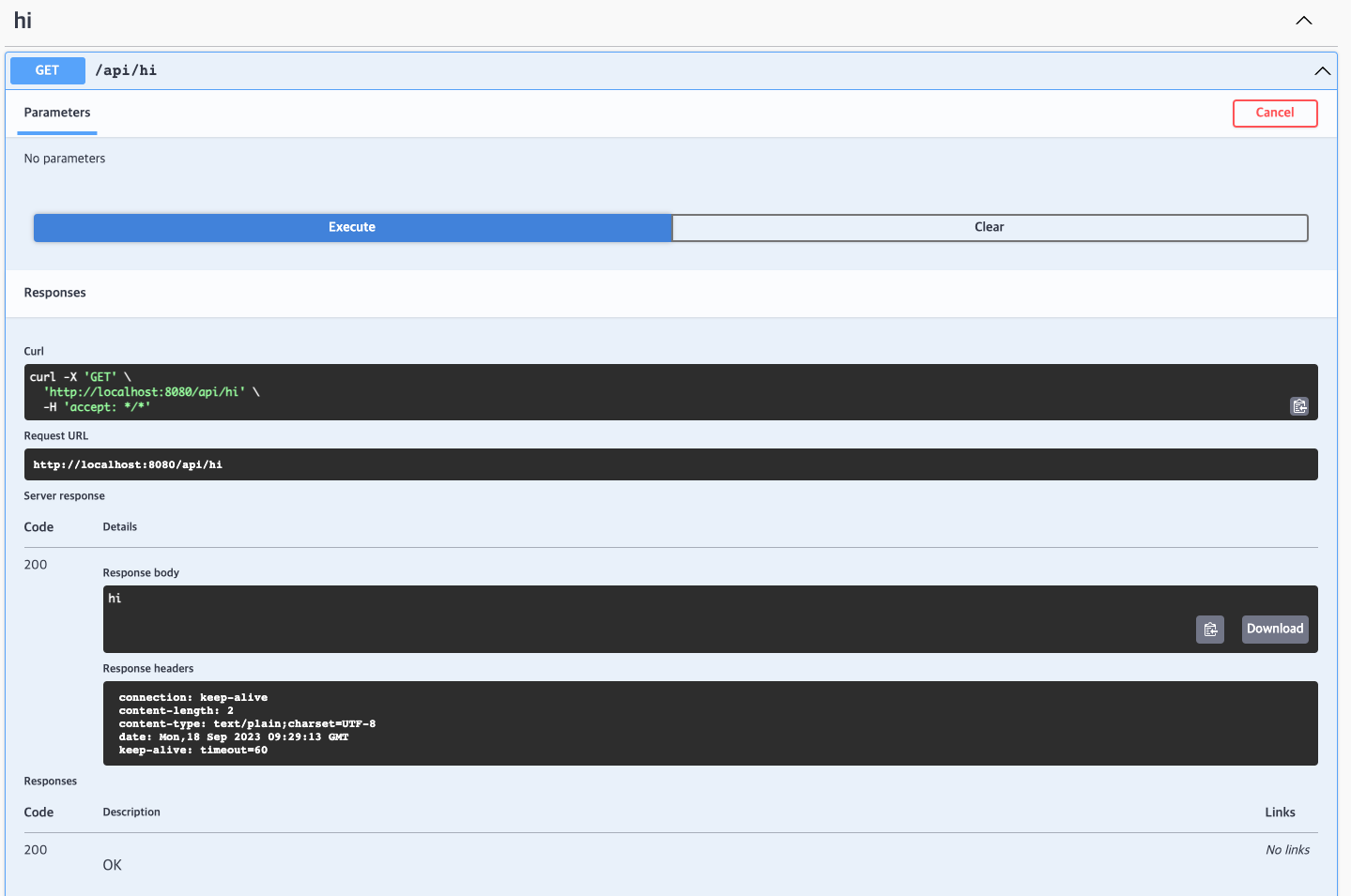 swagger ui를 통해 api 요청
