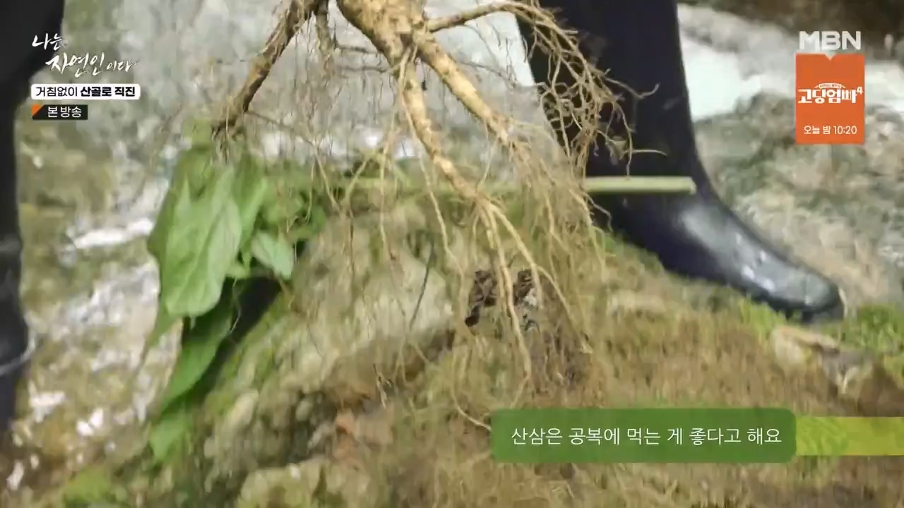 나는 자연인이다.E564.230727p-NEXT.mp4_20230727_211935.048.jpg
