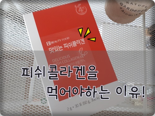  [내돈주고산후기] 몸속부터 시작하는 이너뷰티 맛있는 콜라겐(Vitamin House) 피쉬콜라겐이 필요한 이유? 효능 및 먹는방법