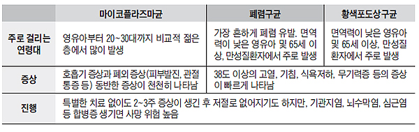 마이코플라즈마 폐렴 증상 원인 단계별 증상 감기 차이점