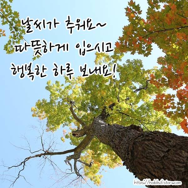 추워진-날씨-인사말