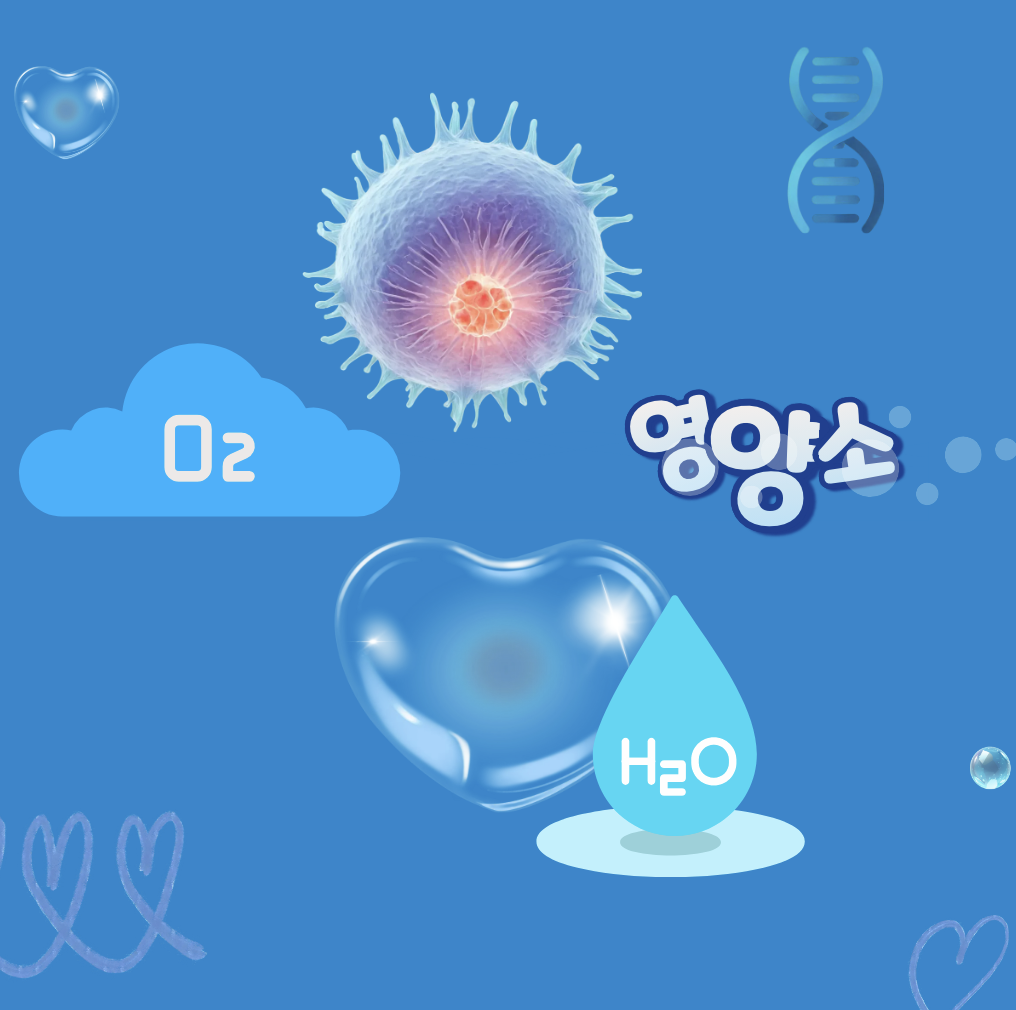 세포가 좋아하는 물, 산소, 영양소에 대한 이미지