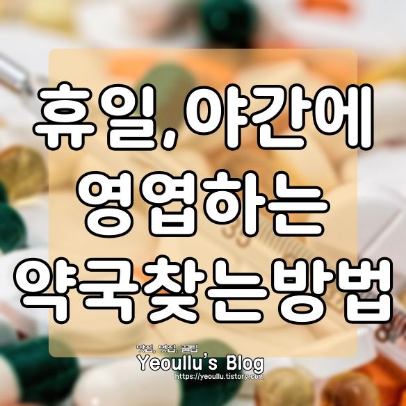  휴일지킴이 약국 홈페이지, 휴일 운영 약국 찾기