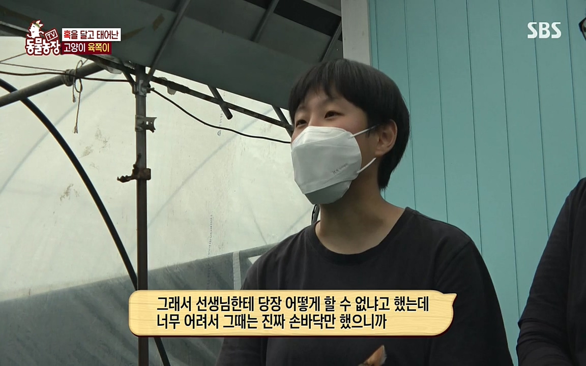 TV 동물농장.E1087.220919p-NEXT.mp4_20220918_180232.178.jpg