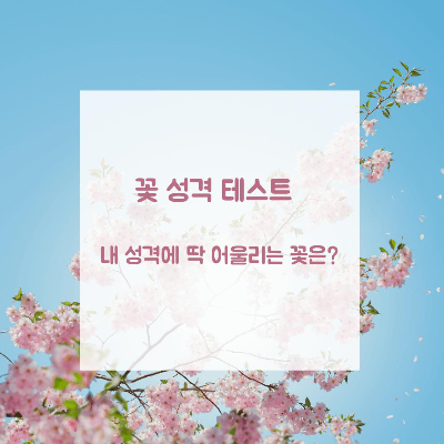  꽃 성격 테스트  - 내 성격에 딱 어울리는 꽃은? 대한민국 구석구석 추천 여행지