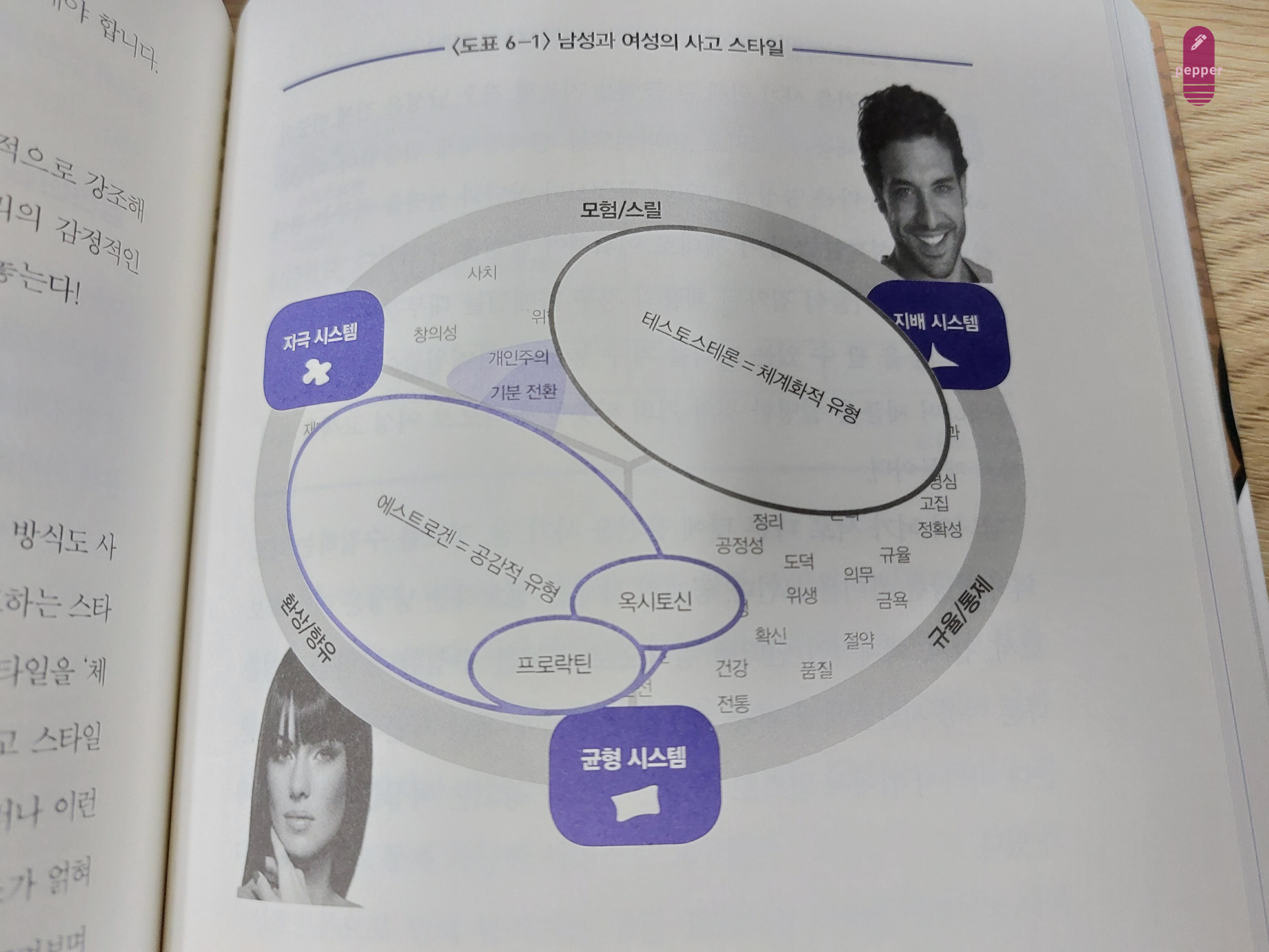 남성적(지배 시스템) vs 여성적 소비(규형 시스템)