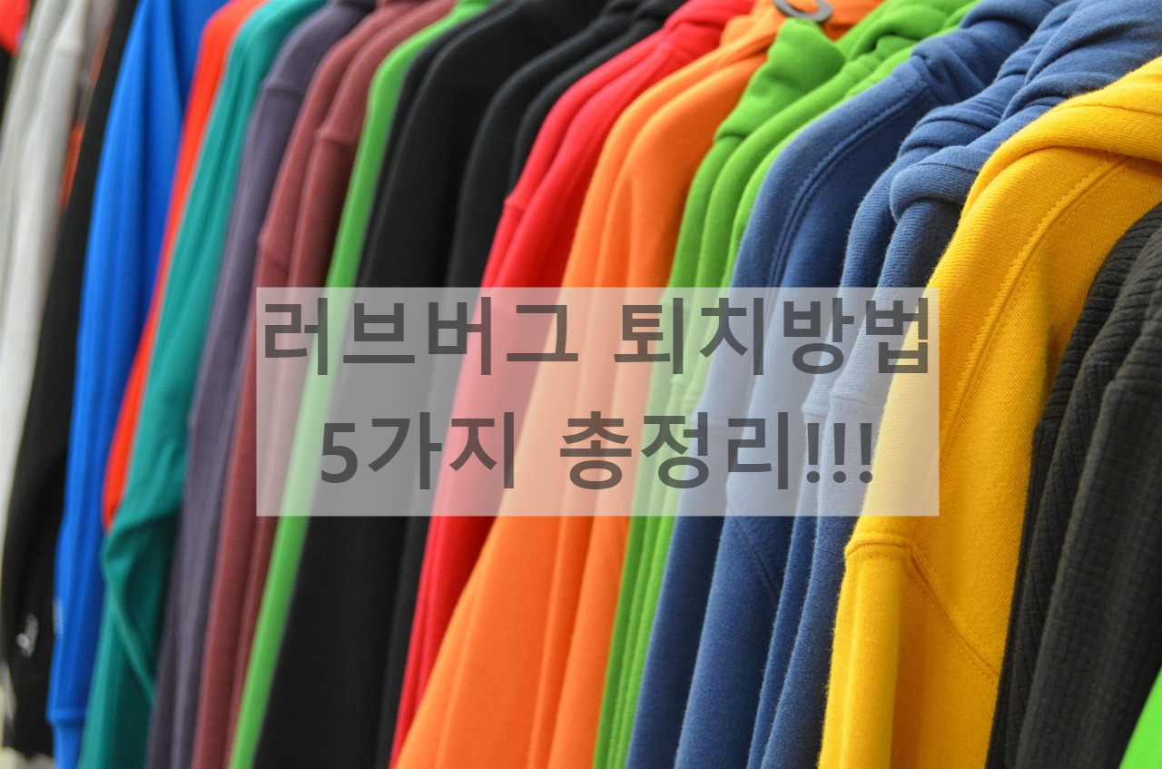 러브버그 퇴치방법 5가지 총정리 - 바람타고 들어오는 벌레 러브버그 퇴치방법 5가지 총정리 - 바람타고 들어오는 벌레