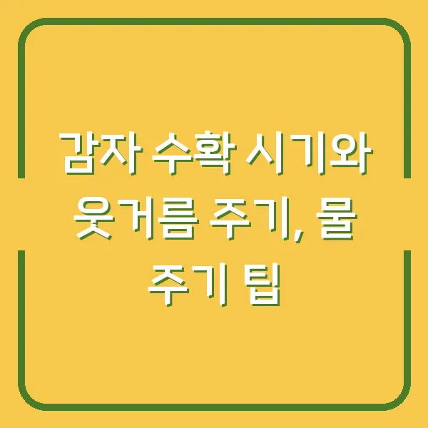 감자 수확 시기와 웃거름 주기, 물 주기 팁