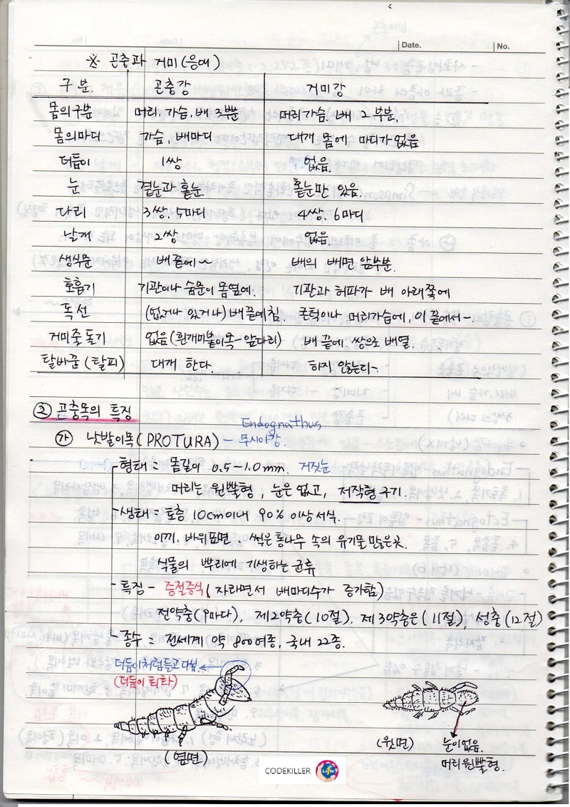  [수목해충학] 2. 곤충의 계통분류 - 곤충과 거미 비교, 낫발이목