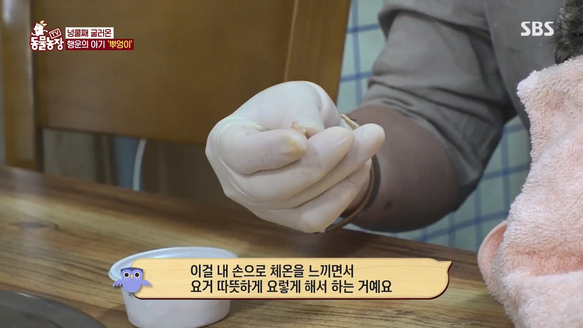 TV 동물농장.E1139.230924p.H264-F1RST.mp4_20230924_172334.147.jpg