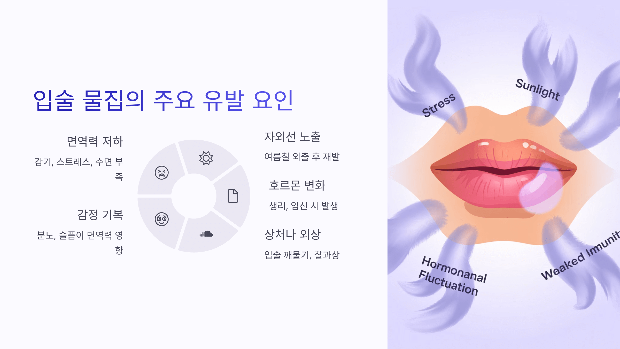 입술 사진입니다.