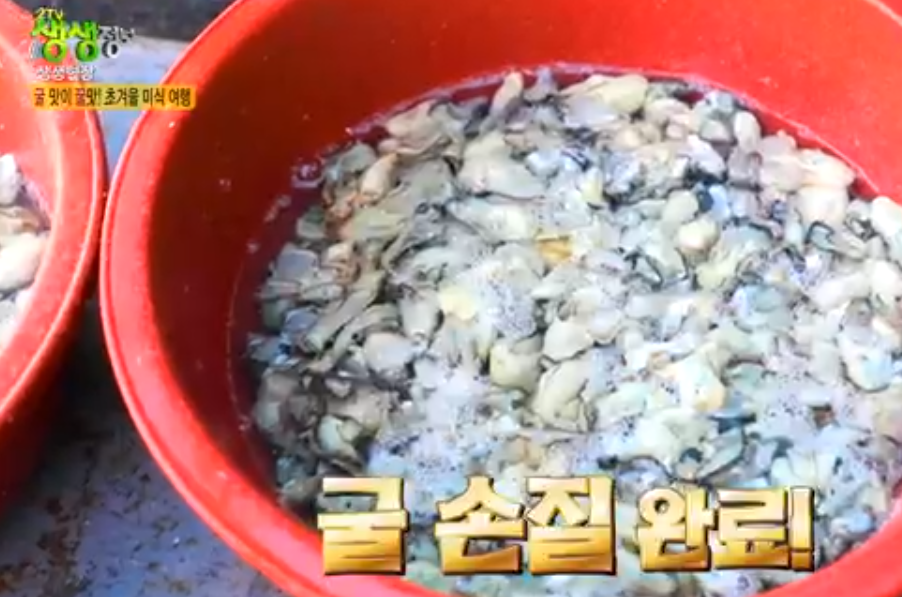 천북굴단지 정보 안내