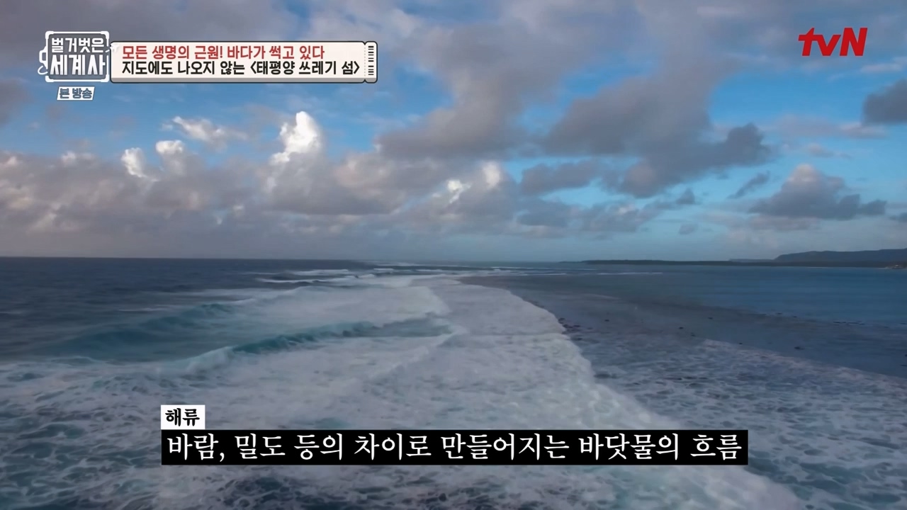 벌거벗은 세계사.E90.230315p-NEXT.mp4_20230419_212540.038.jpg
