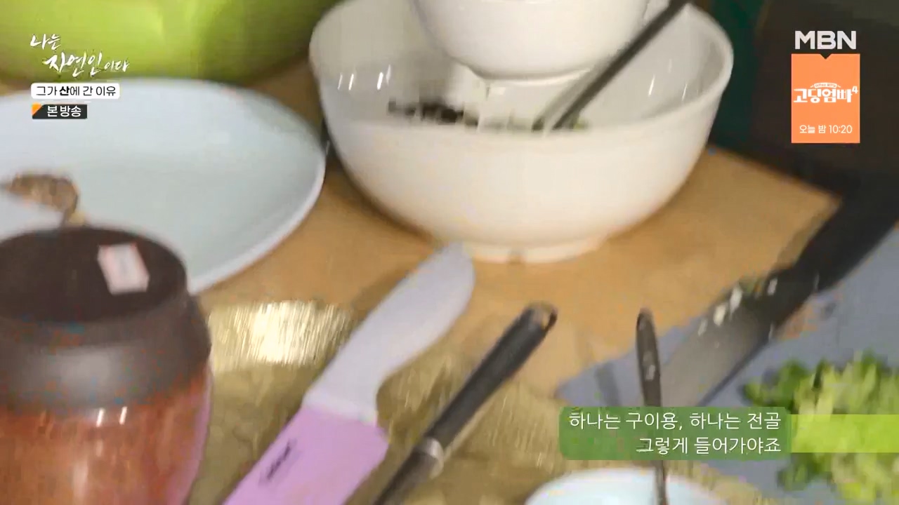 나는 자연인이다.E575.231012p-NEXT.mp4_20231012_201005.189.jpg