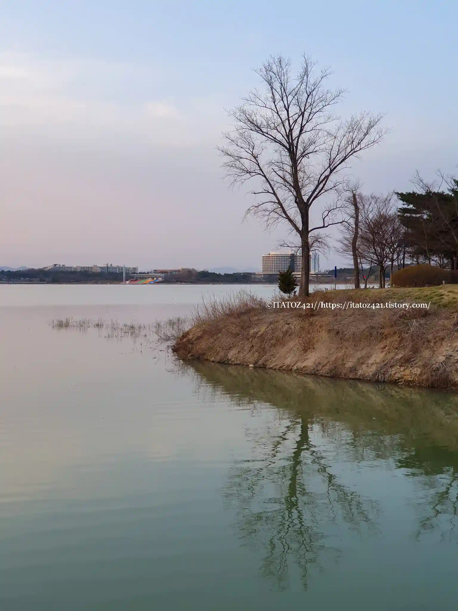 벚꽃 여행 가볼만 한 곳 경주 보문호