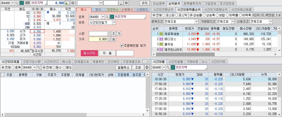 브리지텍 주가 전망