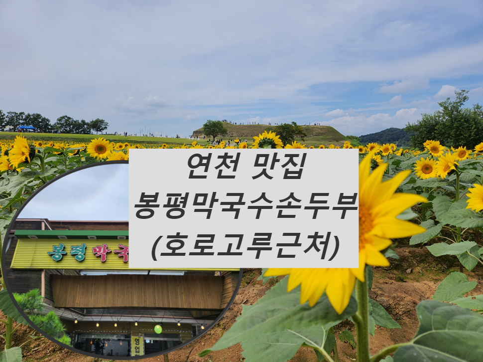 호로고루근처연천맛집