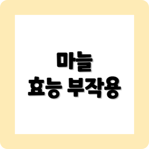 마늘의효능