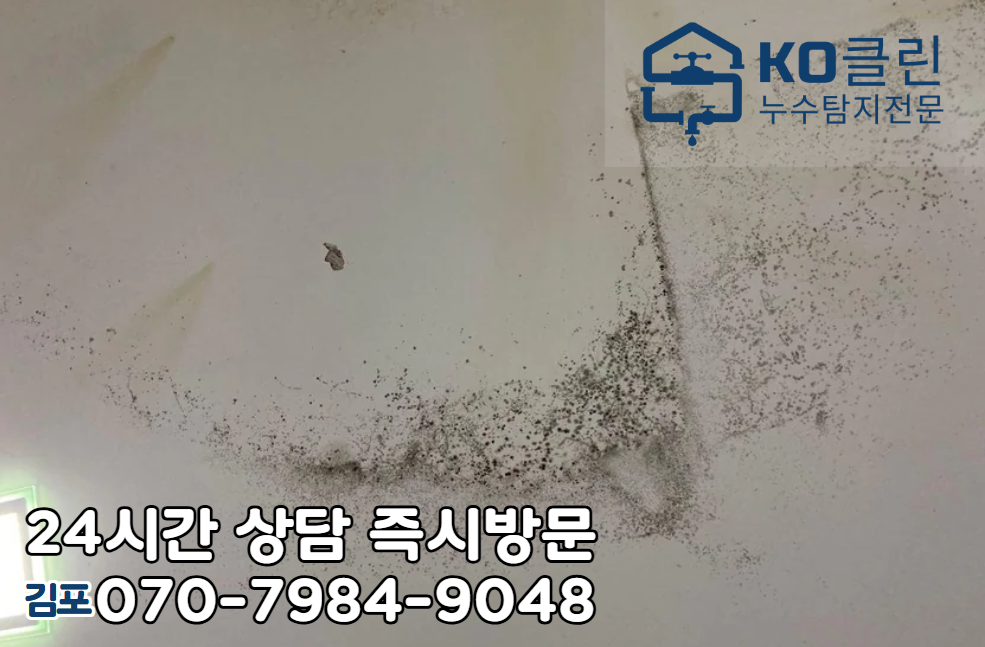 대곶면 화장실/욕실 누수2