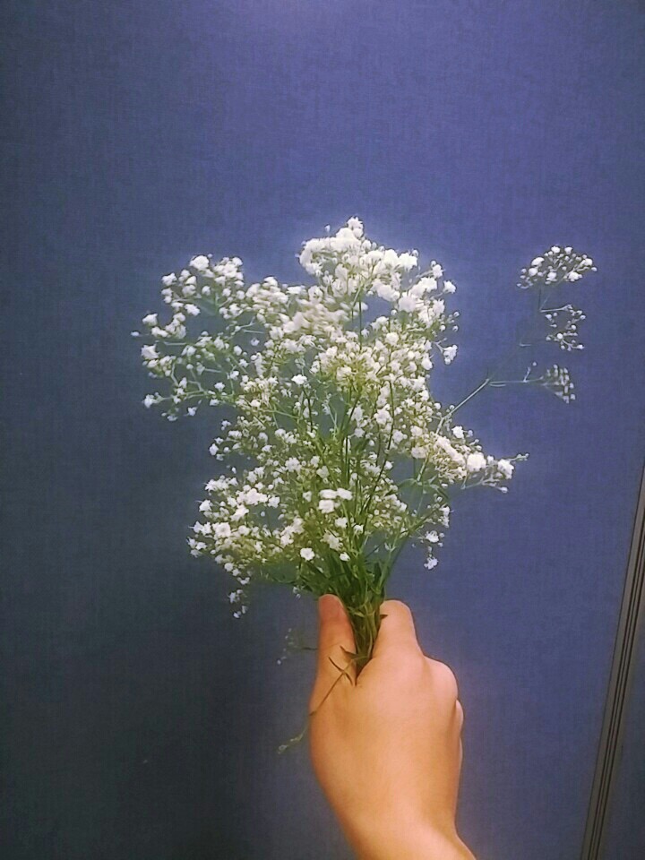  첫 글