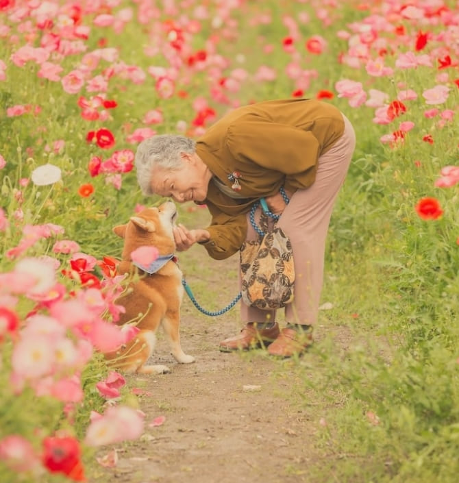 일본 사진작가의 특별한 유대감 Photographer Captures a Heartwarming Moment Between His Grandmother and Her Dog