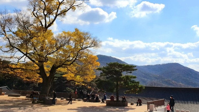 - 수덕사, 명상치유림길과 수암산의 가을 예산으로 볼거리, 단풍여행 12