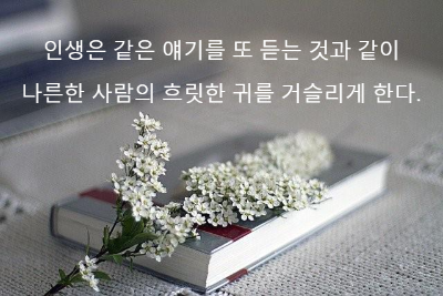 책 위에 놓여 있는 하얀색 들꽃