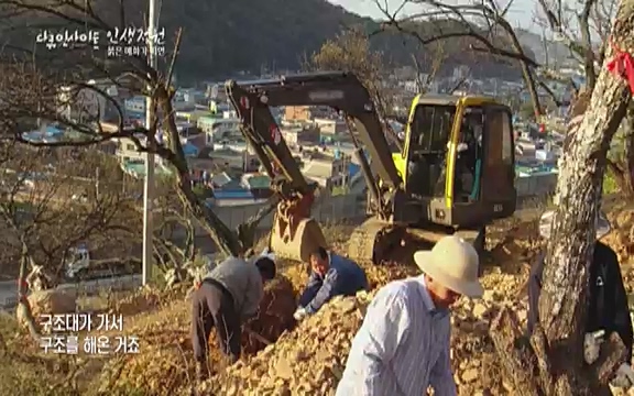 다큐 인사이트 - KBS인생정원 - 붉은 매화가 피면] 봄이면 가장 먼저, 그리고 가장 붉게 피어나는 강인한 소성의 매화.ts_20220818_205148.796.jpg