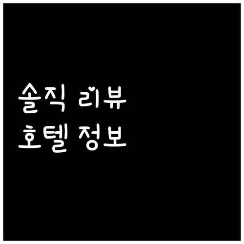 팰리스 호텔 사이공 솔직 리뷰 위치,