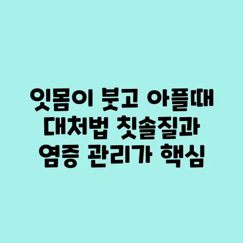 잇몸이 붓고 아플때 대처법 칫솔질과 염증 관리가 핵심