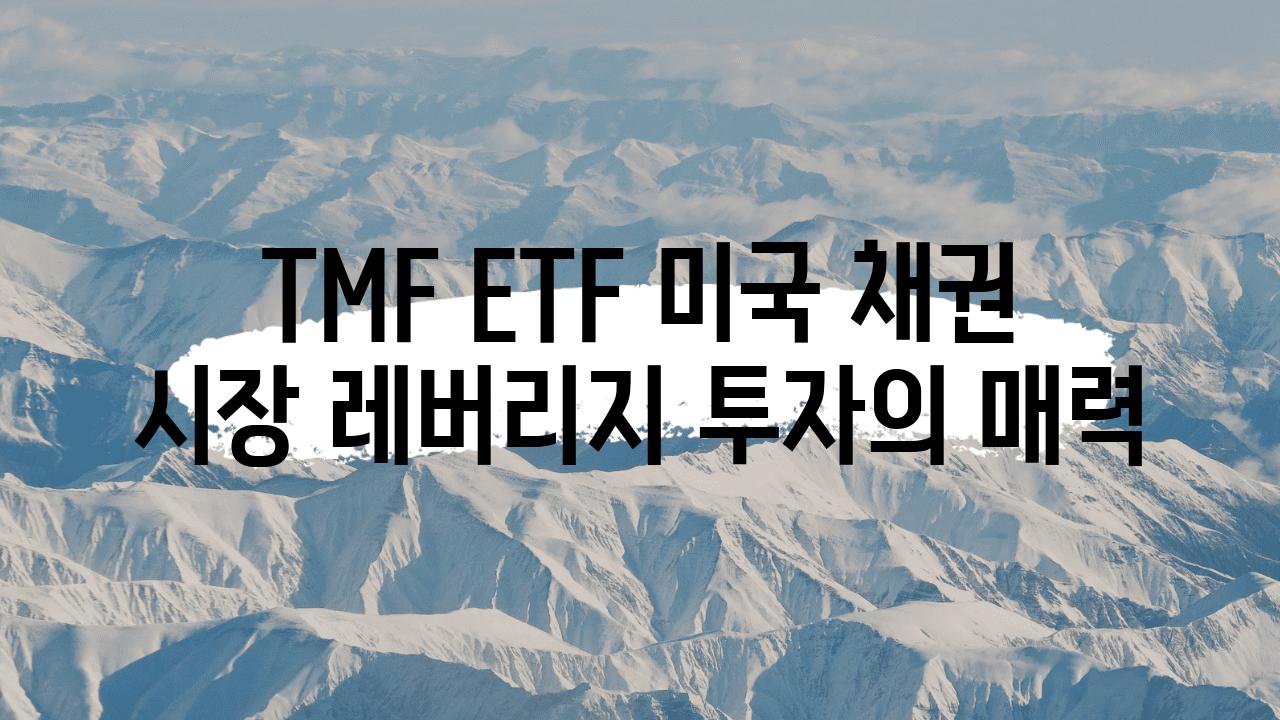 TMF ETF 미국 채권 시장 레버리지 투자의 매력