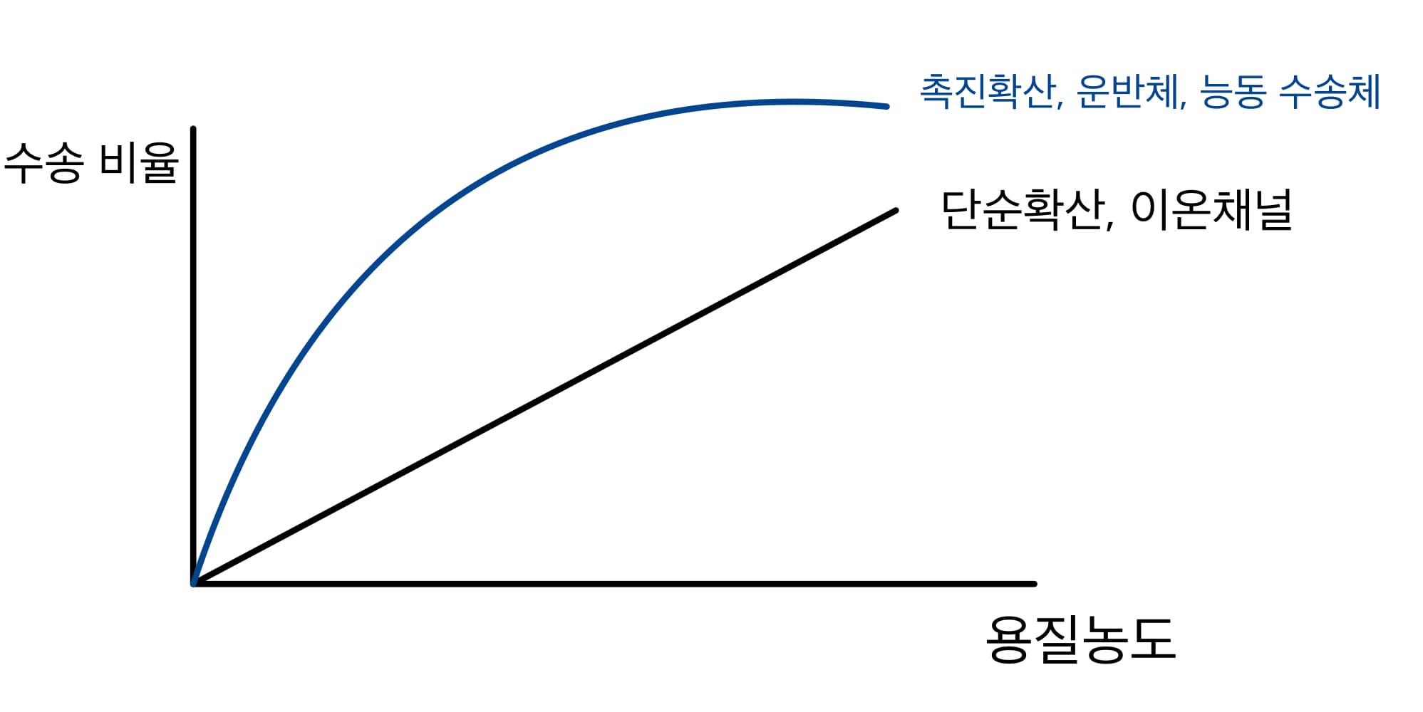  막을 통한 물질 수송 -수동 수송; 촉진 확산 단순 확산