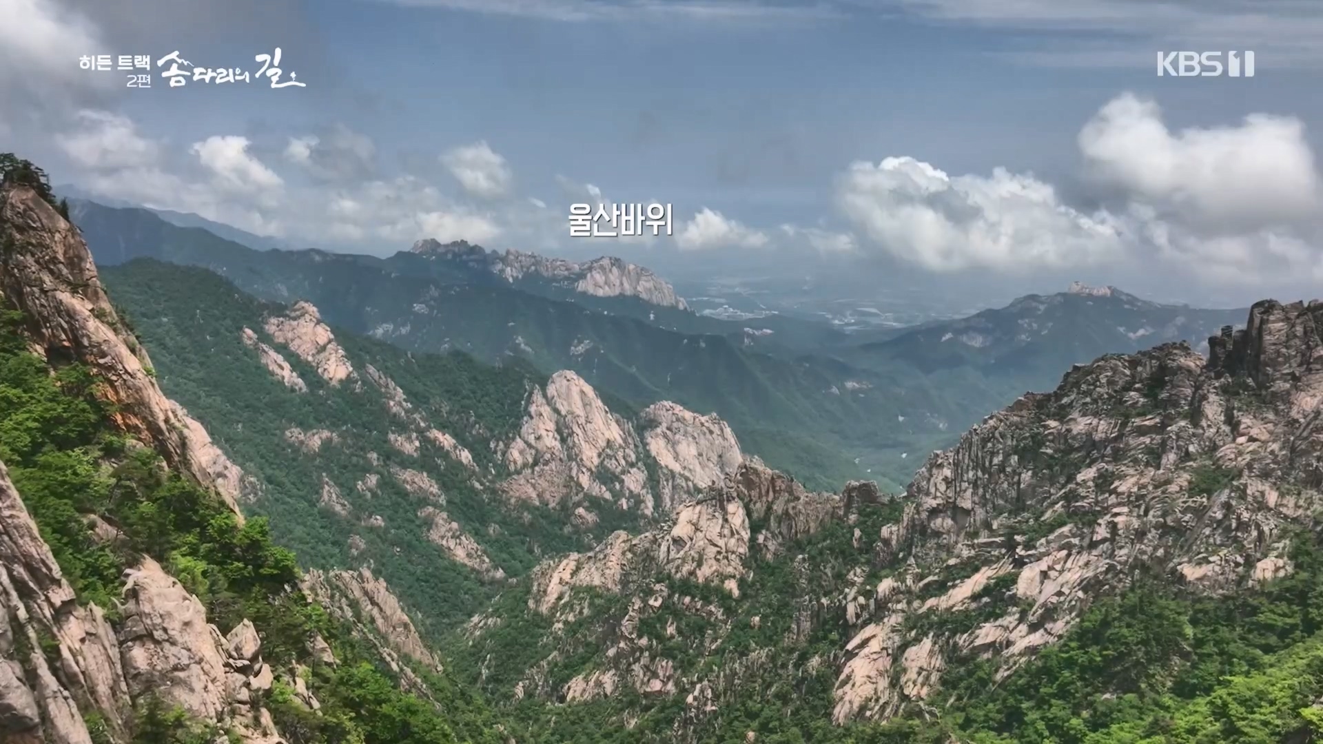 다큐 인사이트.E02.231215p.H264-F1RST.mp4_20231216_183030.475.jpg