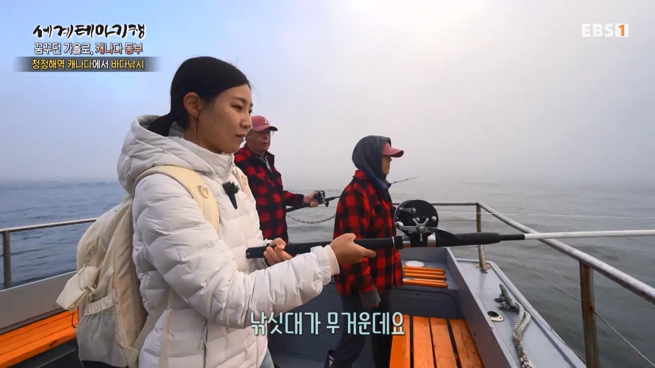 세상의모든기행꿈꾸던 가을로 캐나다 동부-우아, 가을의 맛.mp4_20231205_202921.380.jpg