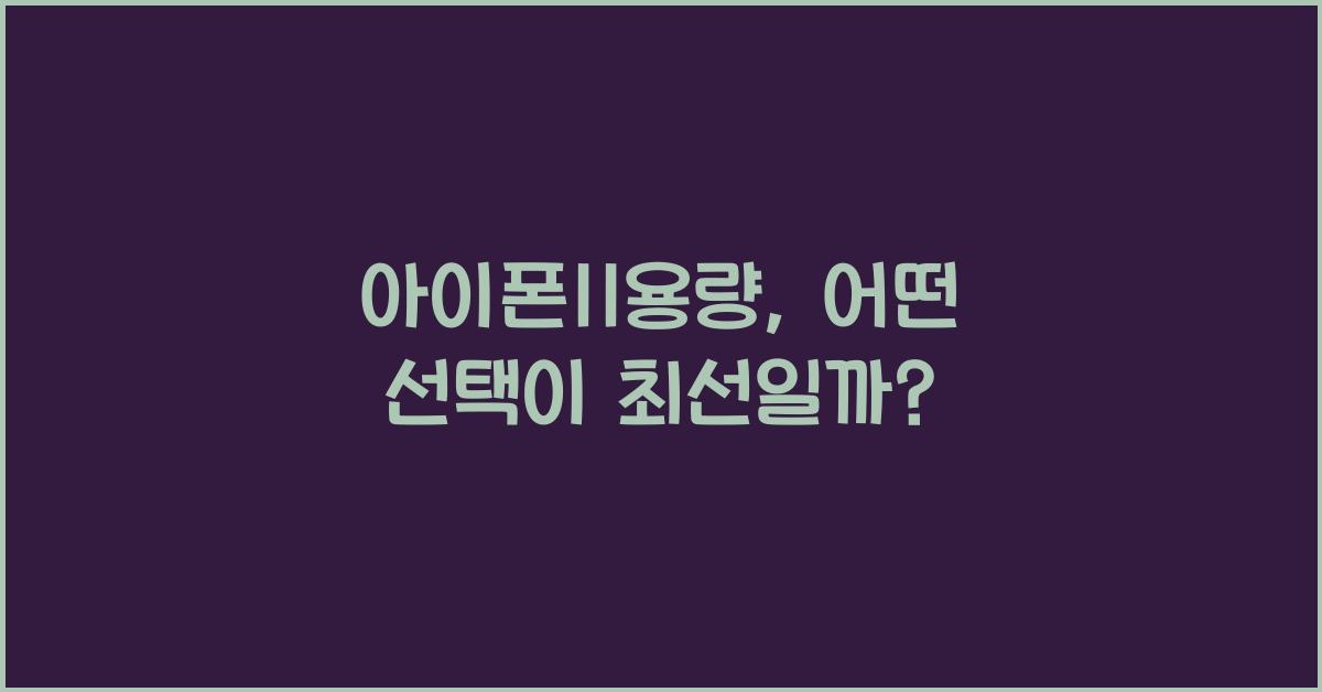 아이폰11용량