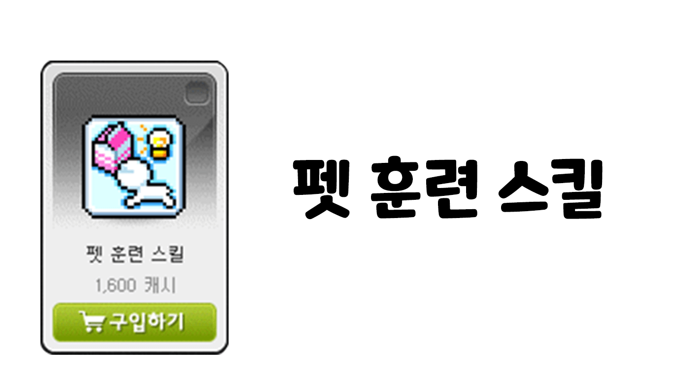 펫 훈련 스킬