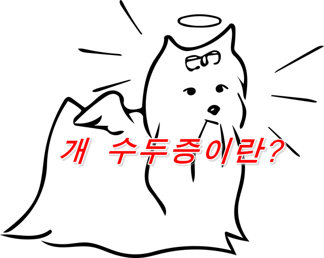  개 수두증