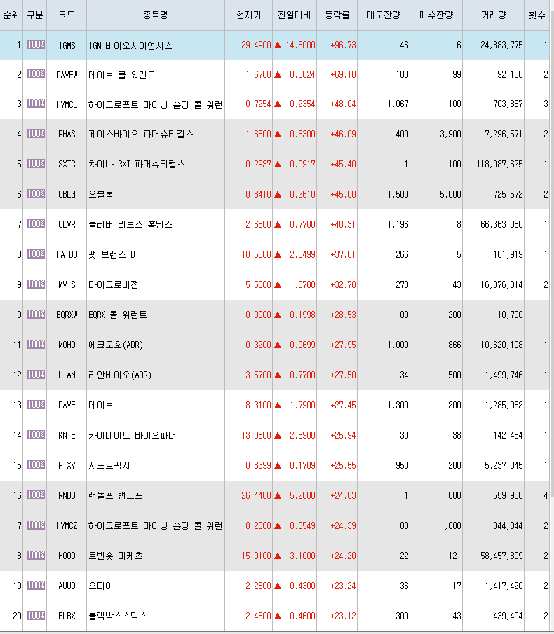  3월29일 미국주식 상승률 상위 종목 TOP 300