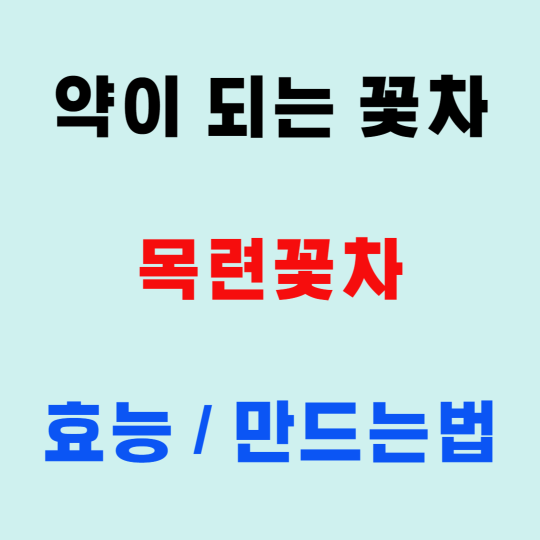 목련꽃차 만드는법