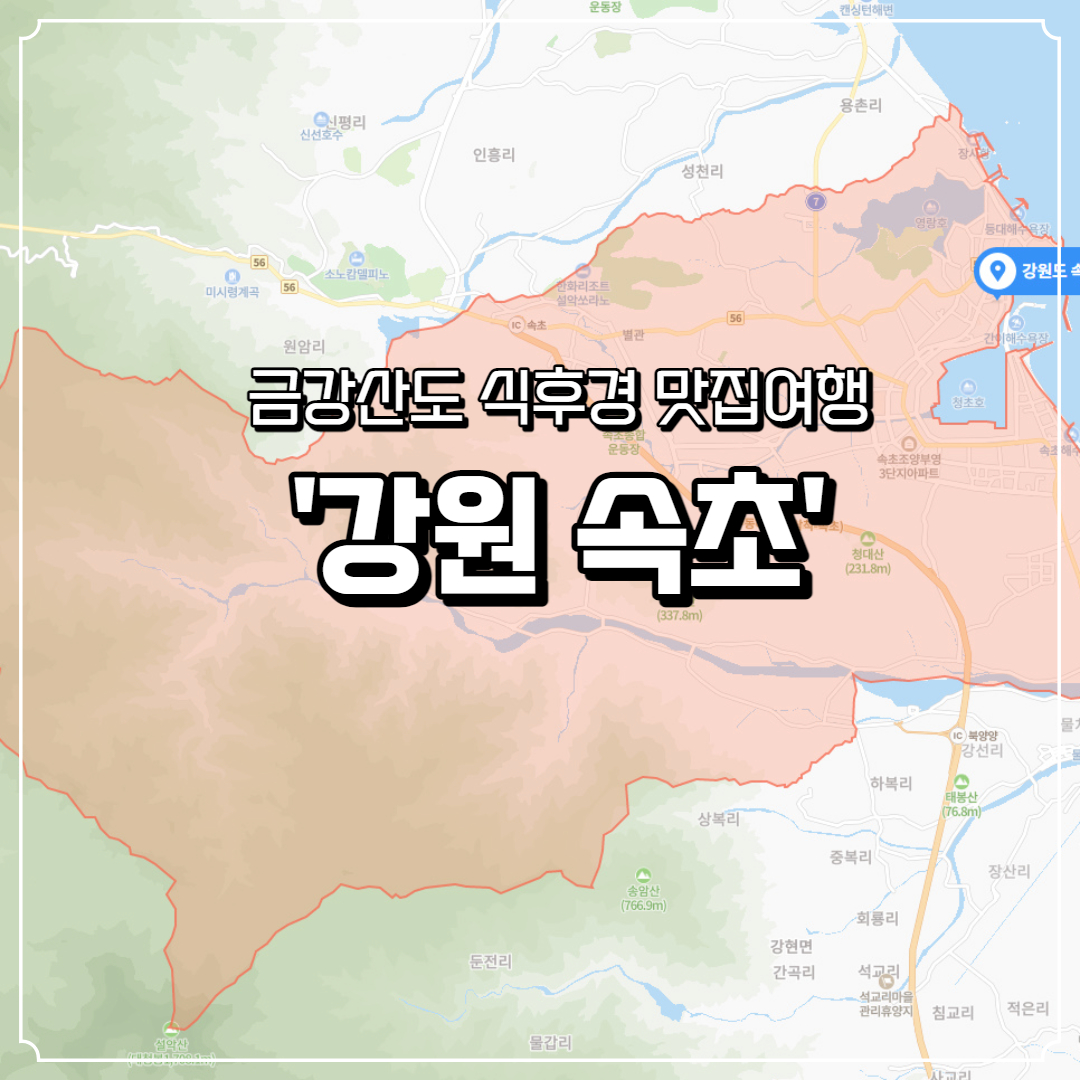  속초 맛집 가볼만한 곳 추천 속초여행간다면 맛집은 여기