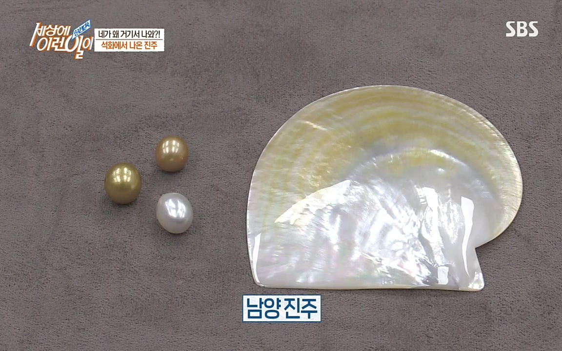 순간포착 세상에 이런일이.E1182.220532p-NEXT.mp4_20220601_171658.536.jpg