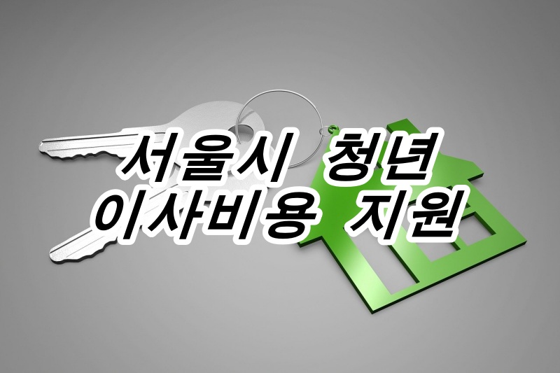  서울 청년 이사비용 40만원 지원, 서울시 청년 이사비 지원금 받는 방법