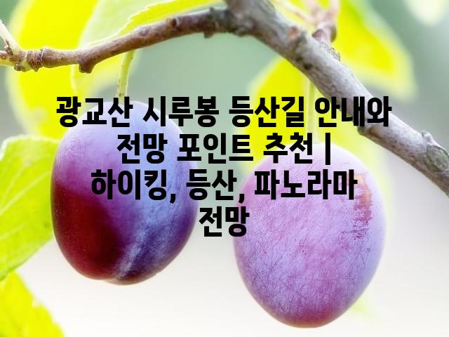 랜덤185