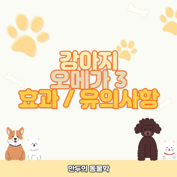 강아지오메가3효과유의사항